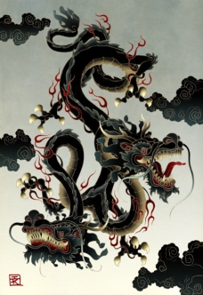 chinese astrology 2012 year of black water dragon, time of change